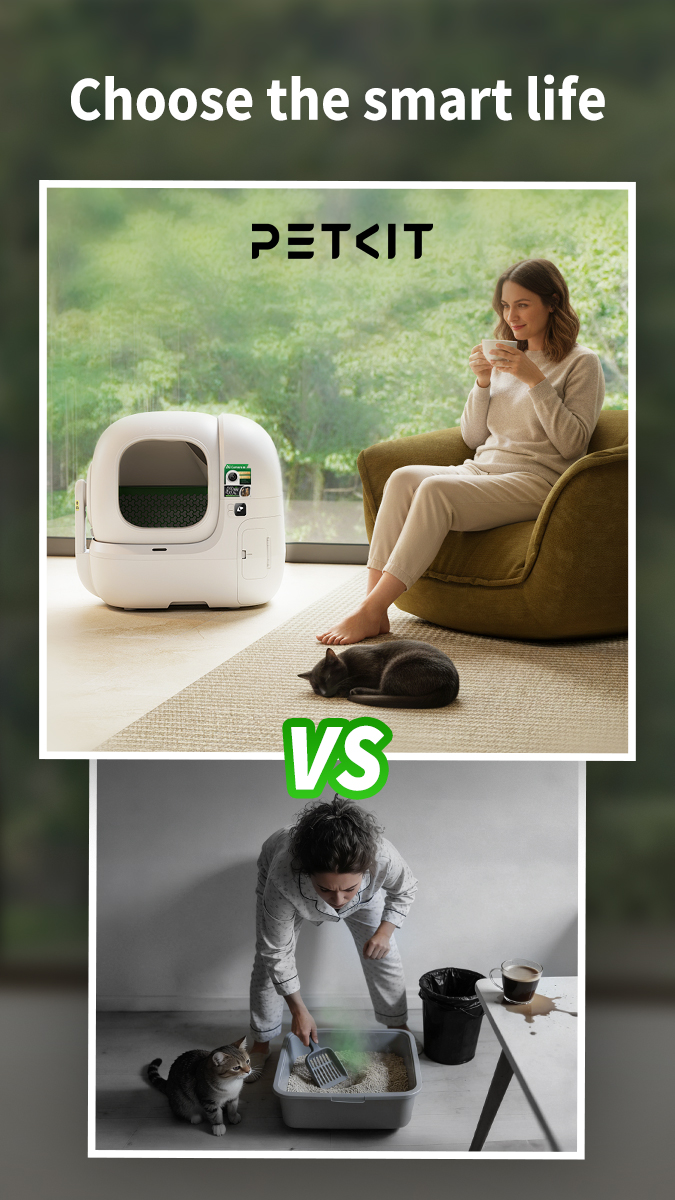 Petkit US Facebook ad