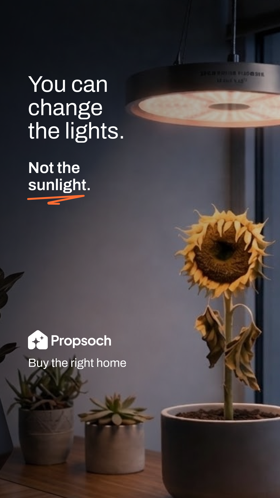 Propsoch Facebook ad
