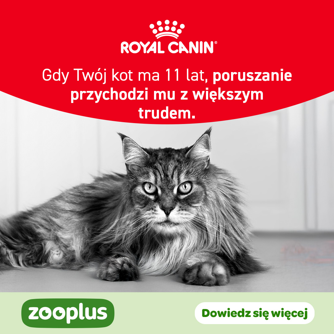 zooplus Facebook ad