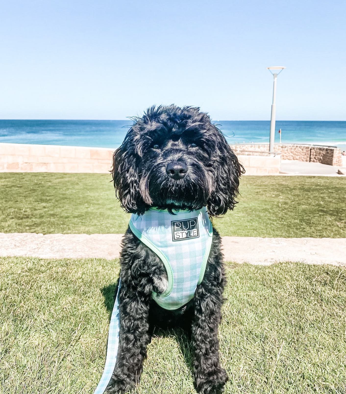 PUPSTYLE Store Facebook ad