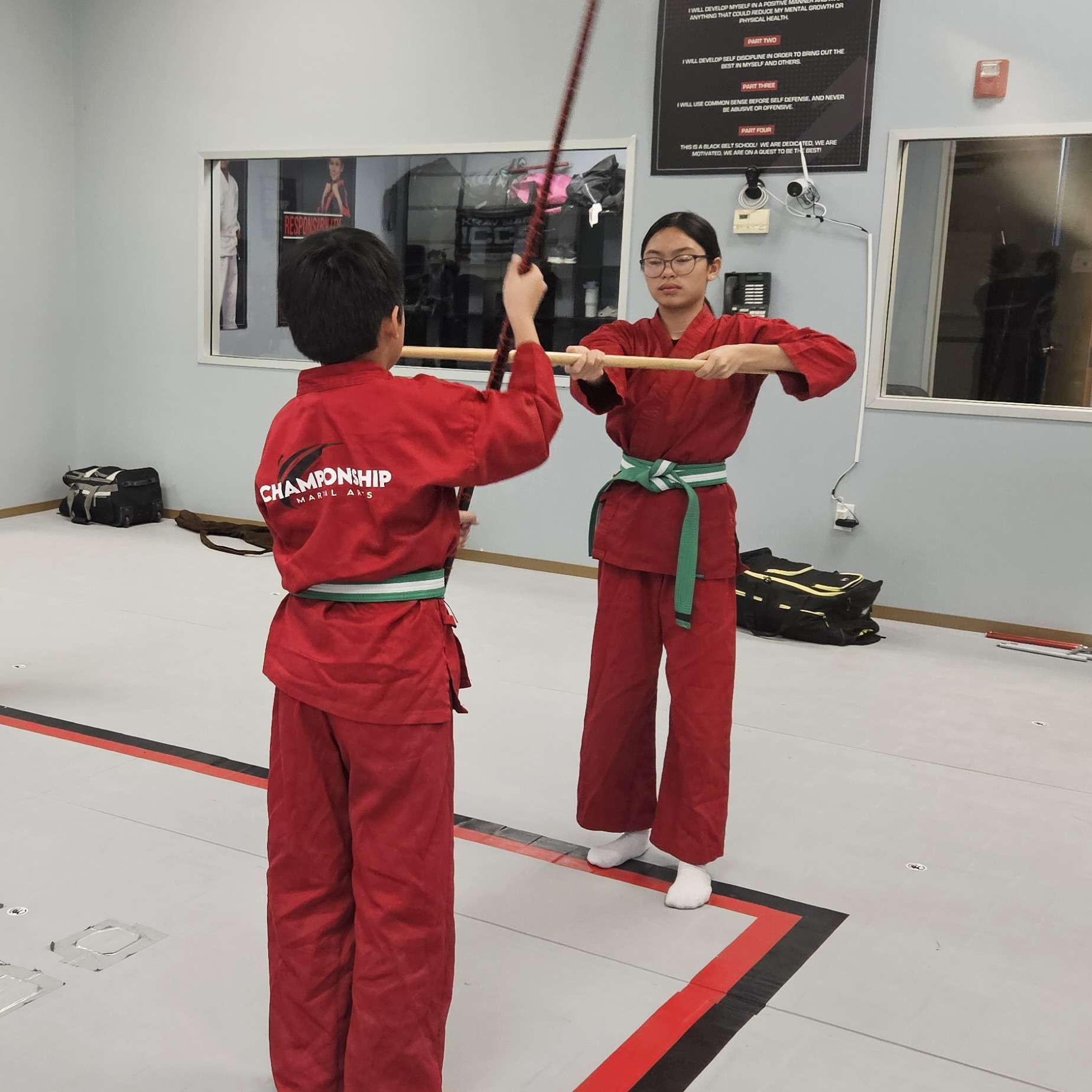 Peoria Championship Martial Arts Facebook ad