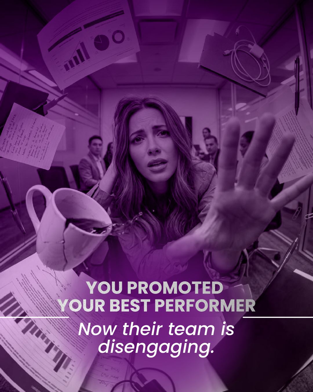 True North Executive Coaching in Washington DC Facebook ad: Download Impact Report