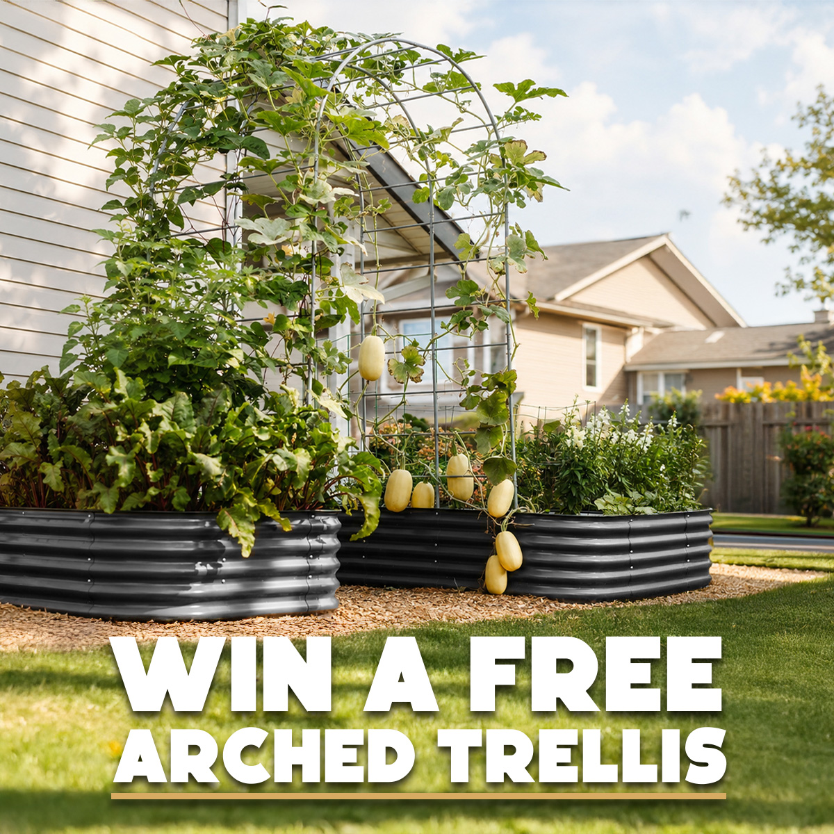Sproutbox Garden Facebook ad: Winner Will be Announced May 31st!