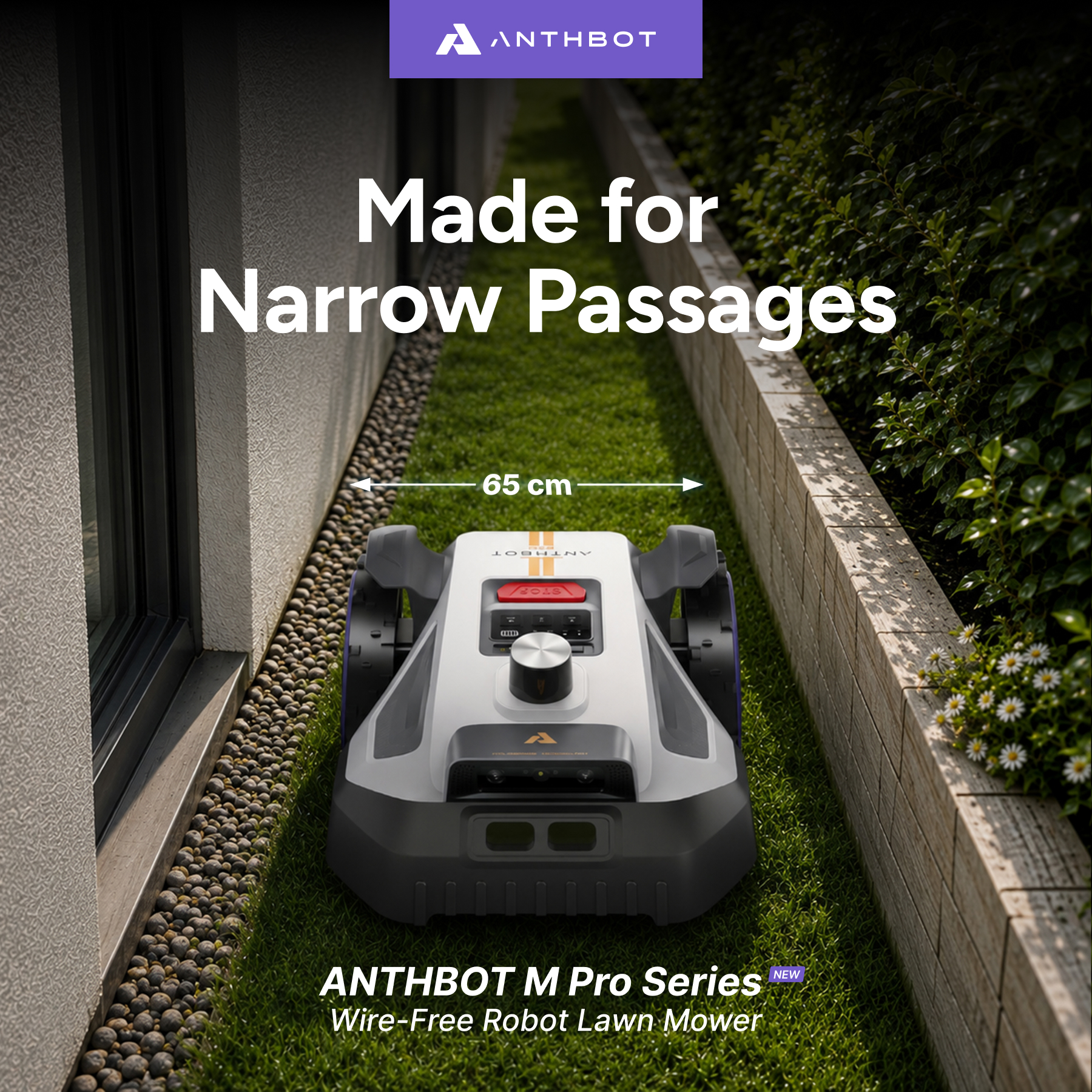 ANTHBOT Facebook ad