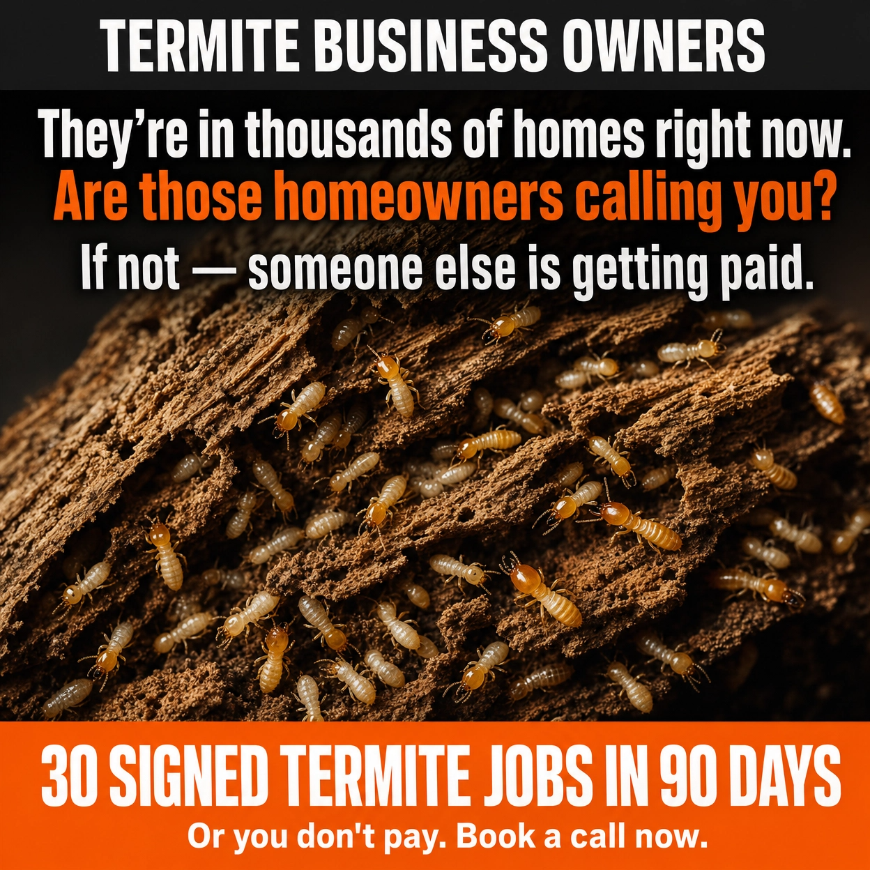 Pest Pipeline Solutions Facebook ad: 30 Termite Sales in 90 Days Guaranteed!