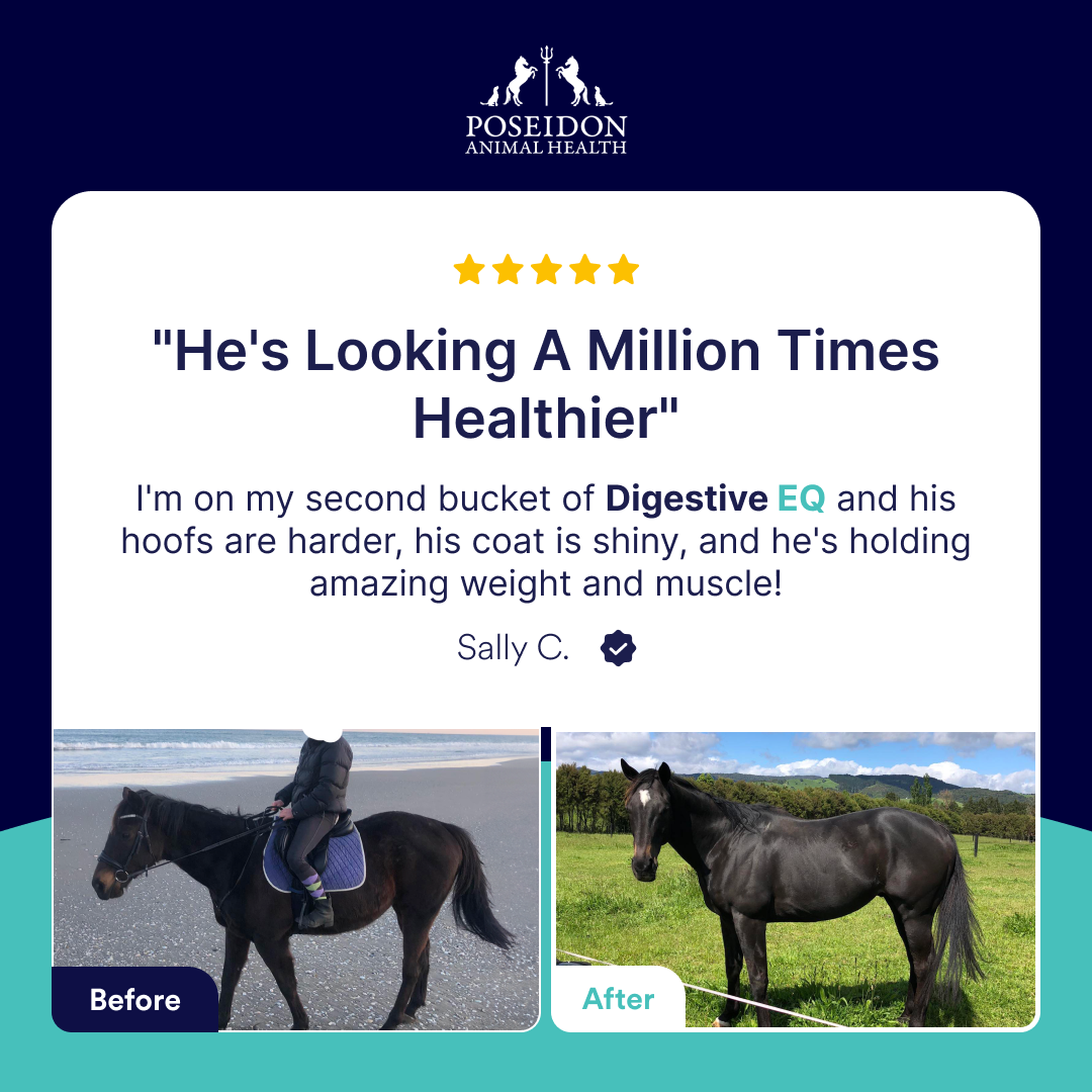 Poseidon Animal Health Facebook ad
