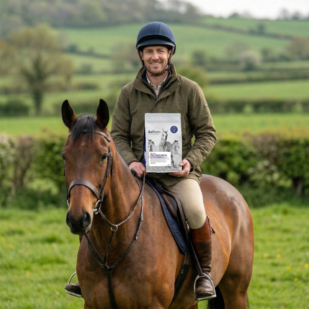 Aviform Nutrition UK - Horse & Dog Facebook ad