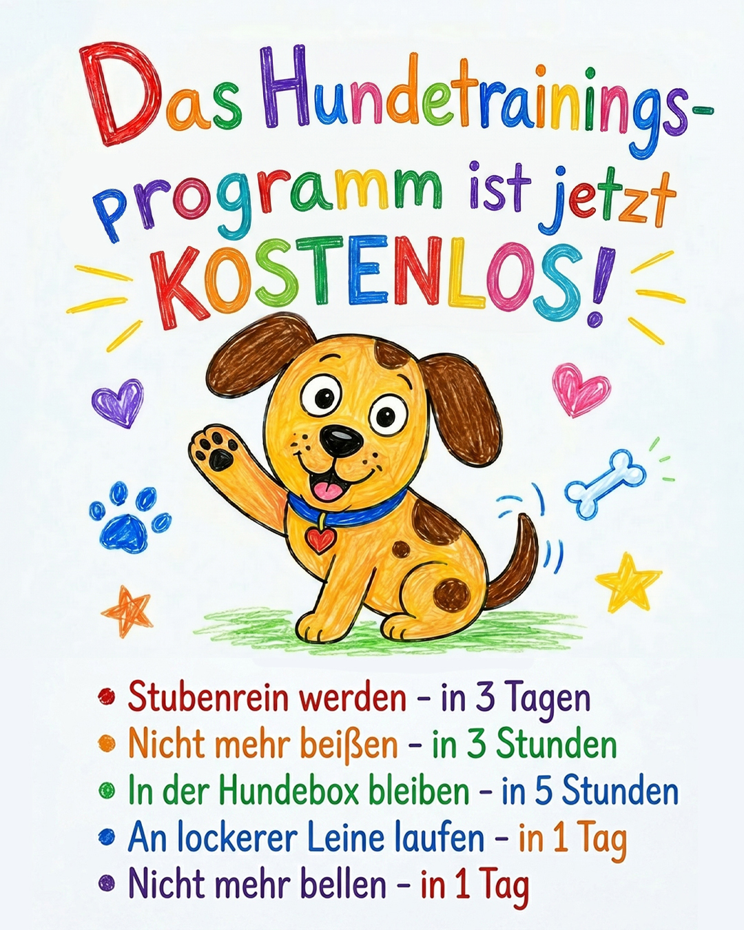 Ben Your Puppy Trainer Facebook ad