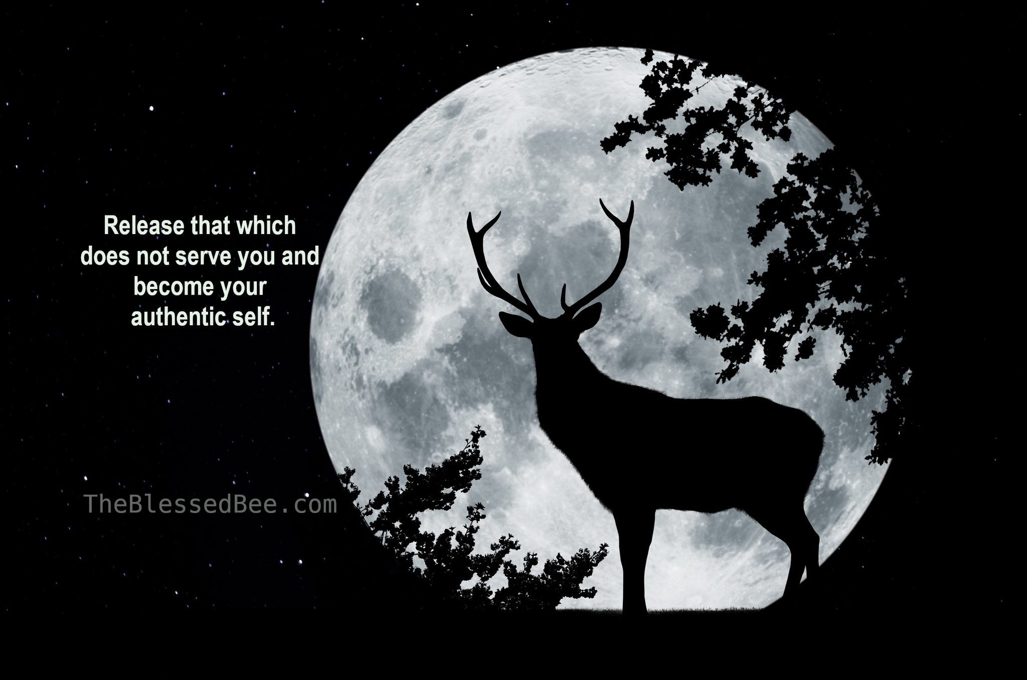The Blessed Bee Facebook ad: Antler Shedding Release Ritual for the Buck Moon…