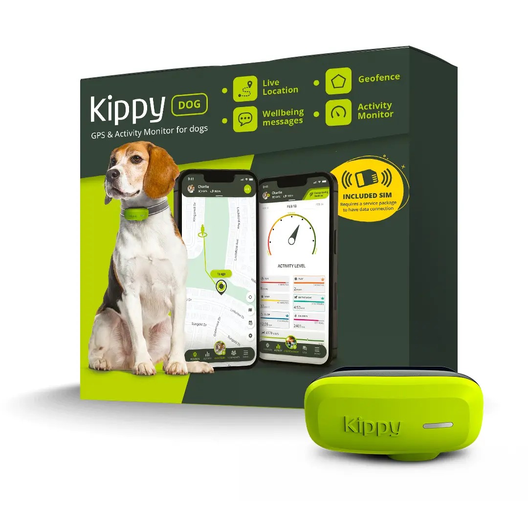 Kippy Facebook ad