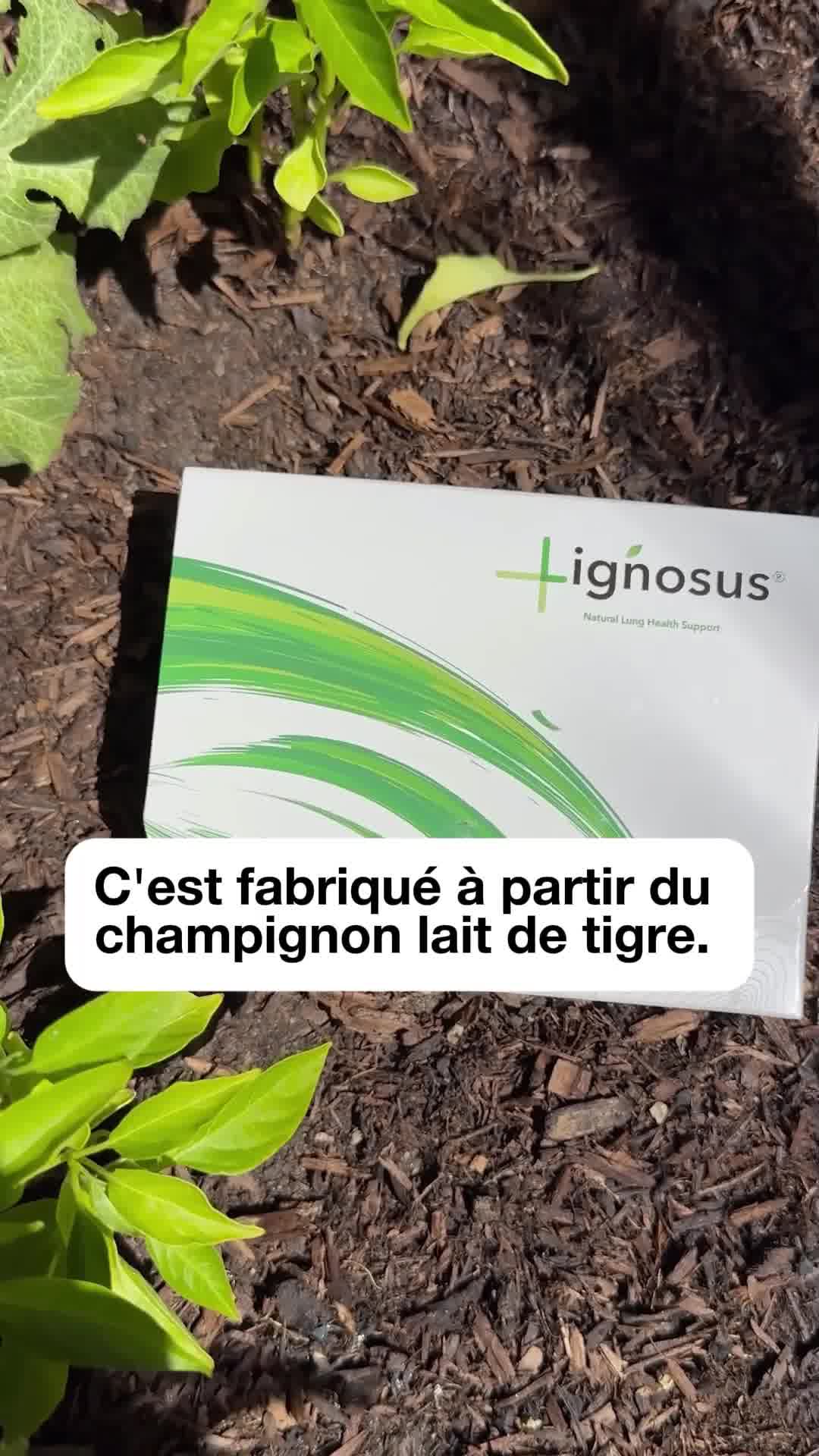 Lignosus Europe Facebook ad: De la toux aux enfants actifs