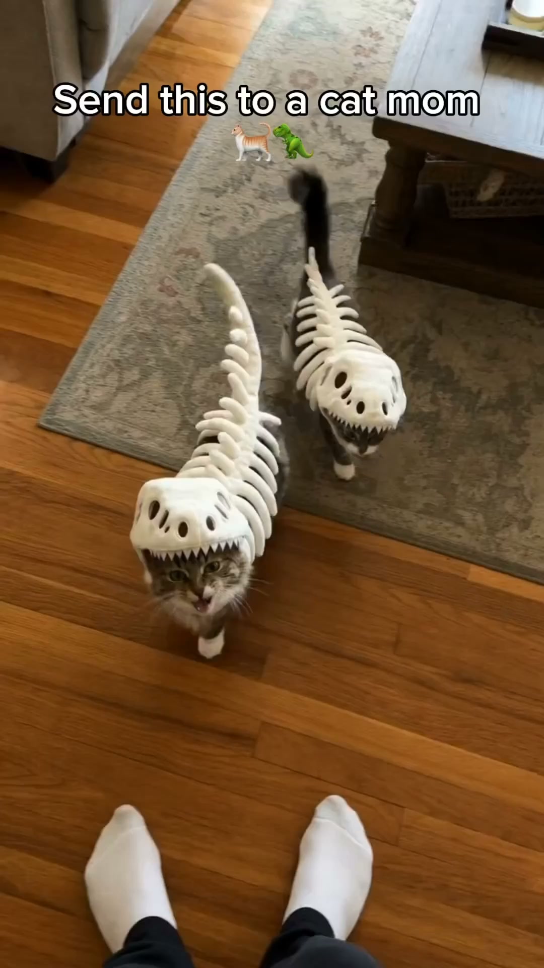 Paw Tumble Facebook ad: Don't Miss Halloween This Year