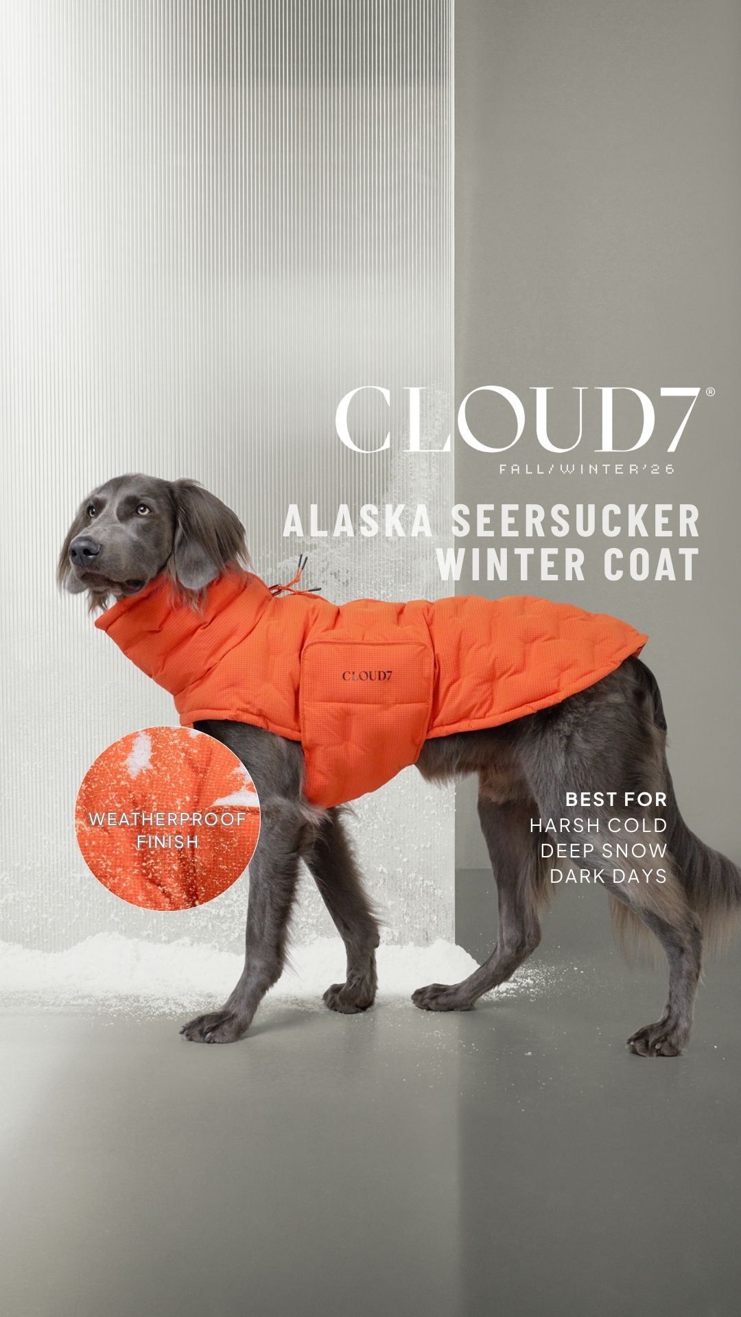 Cloud7 Facebook ad: Discover here