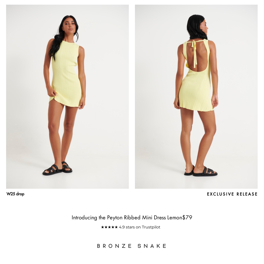 Bronze Snake Shop Facebook ad