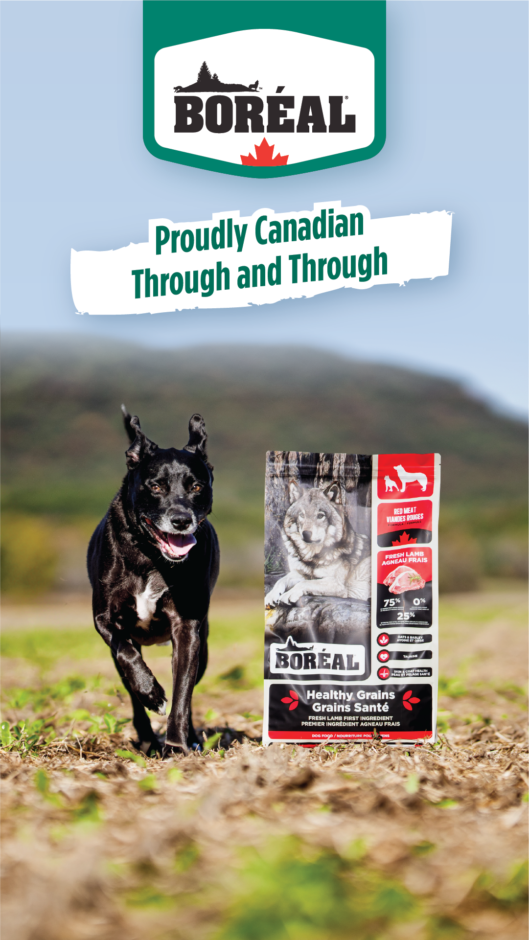 Boréal Pet Food Facebook ad