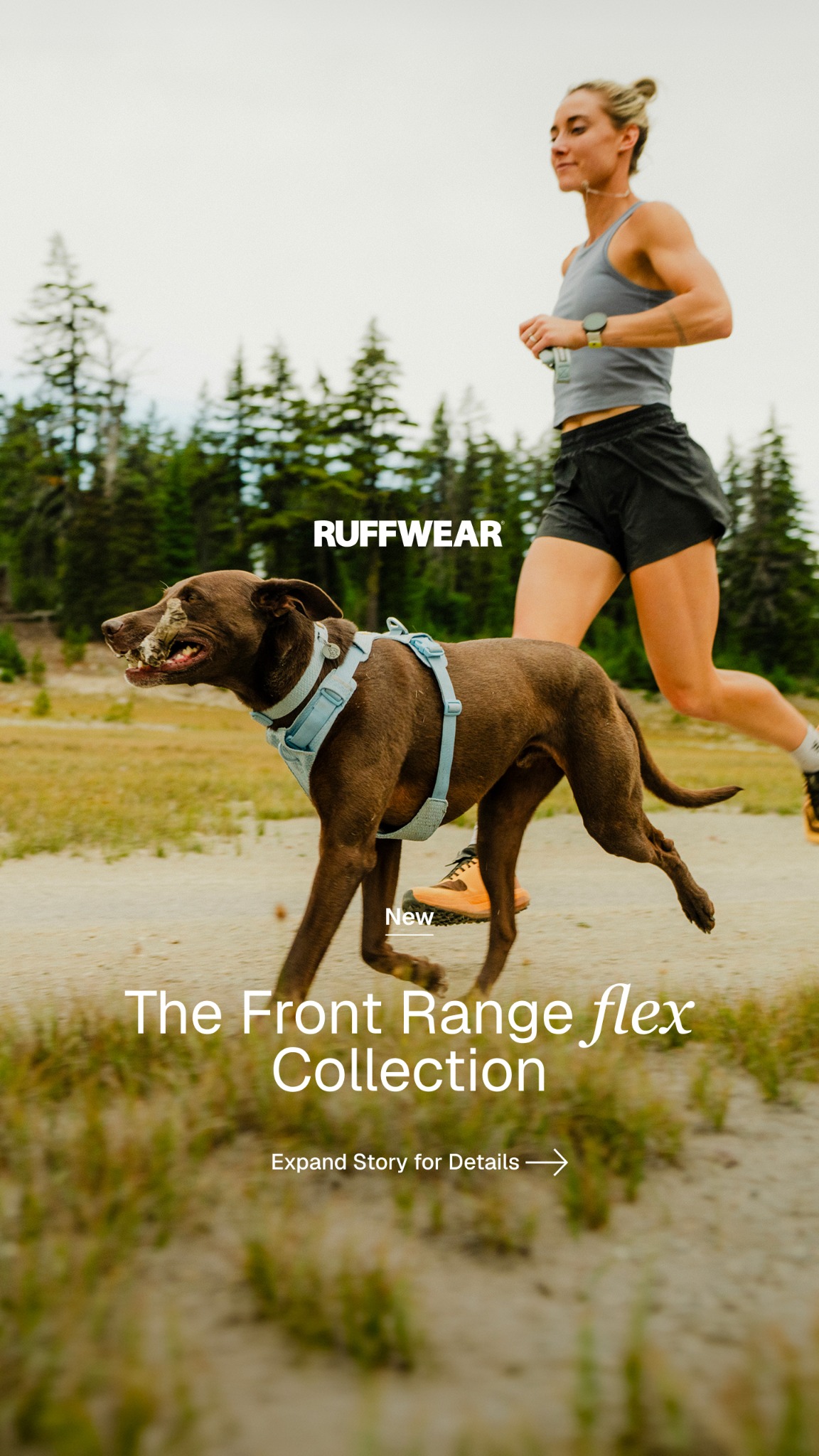 Ruffwear Facebook ad