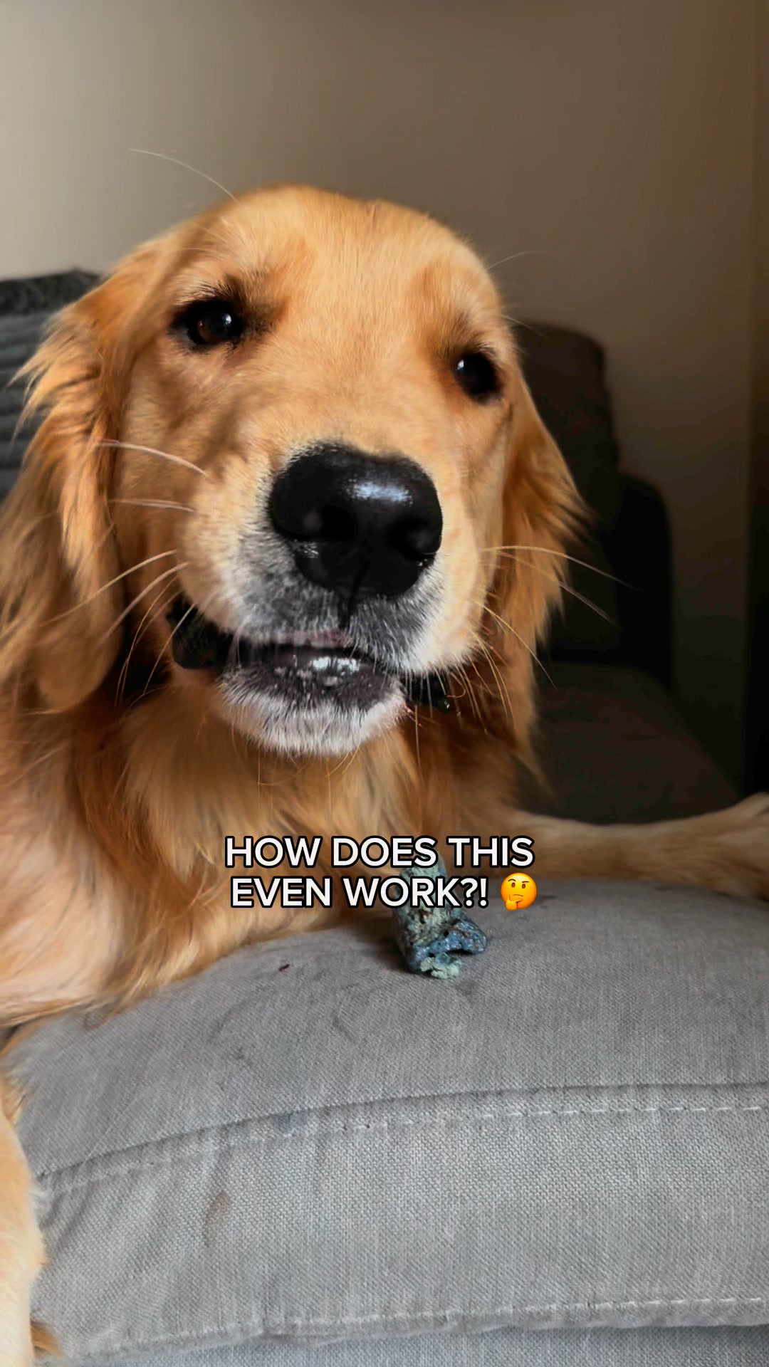 Britt + Wince Facebook ad: Fresh Breath in 7 Days, 20% Off PupGum