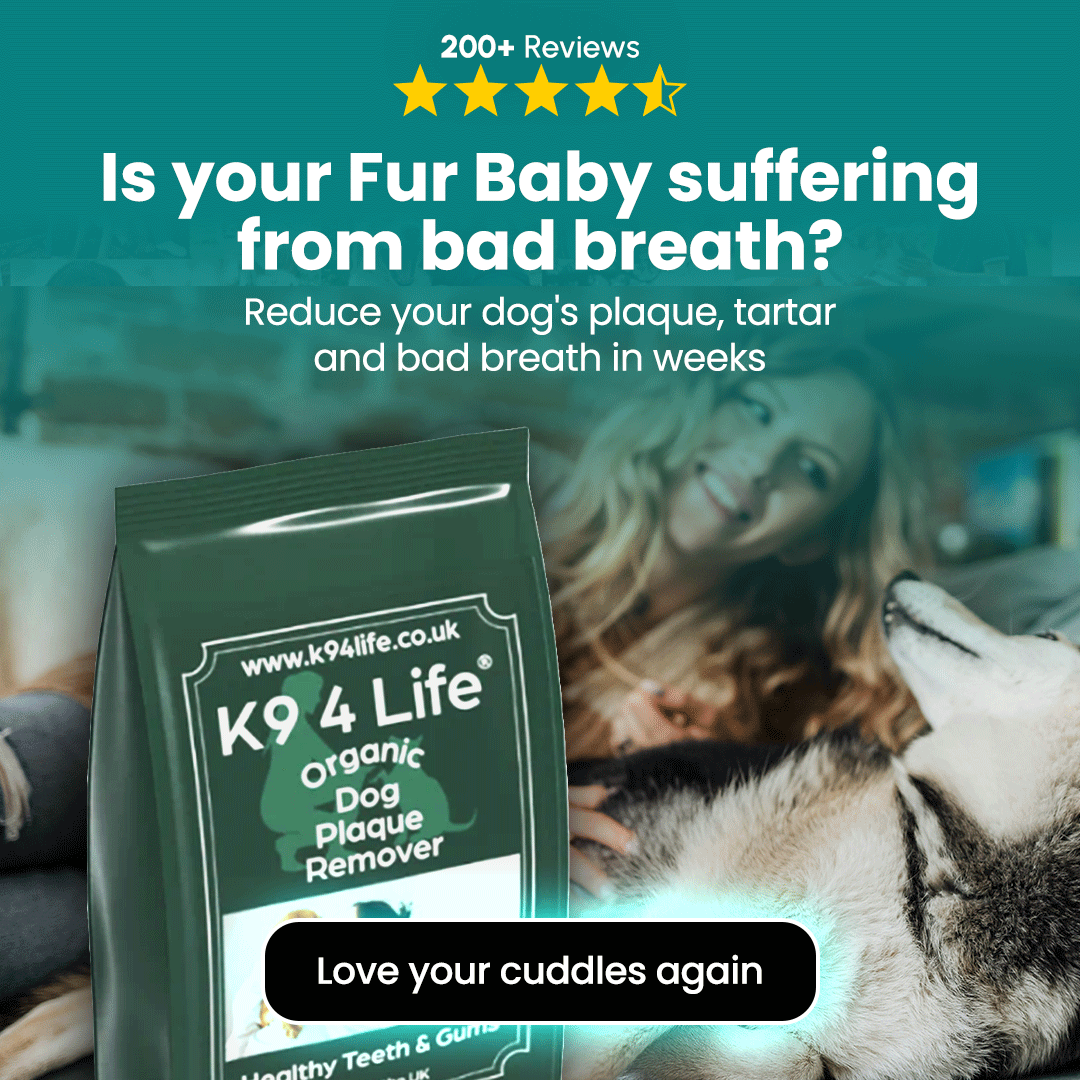 K9-4-Life Facebook ad: 20% Off With Code 'TEETH'