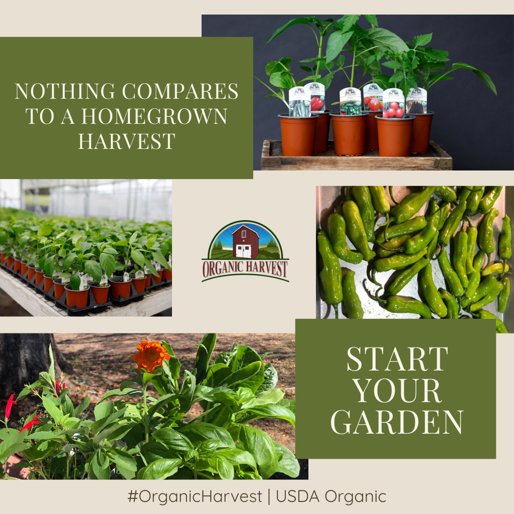 Organic Harvest Facebook ad