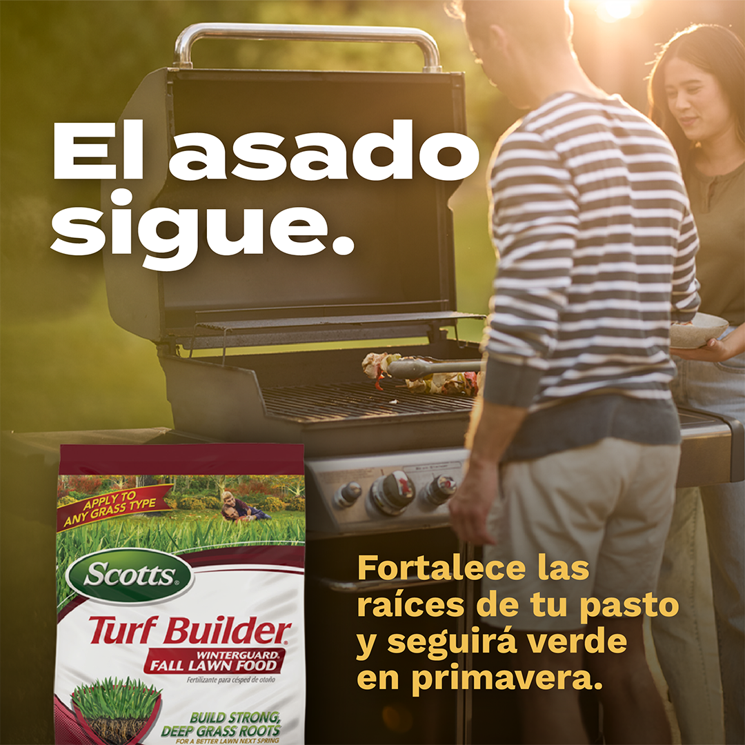 Scotts Lawn Care Facebook ad: Tus planes en el jardín siguen