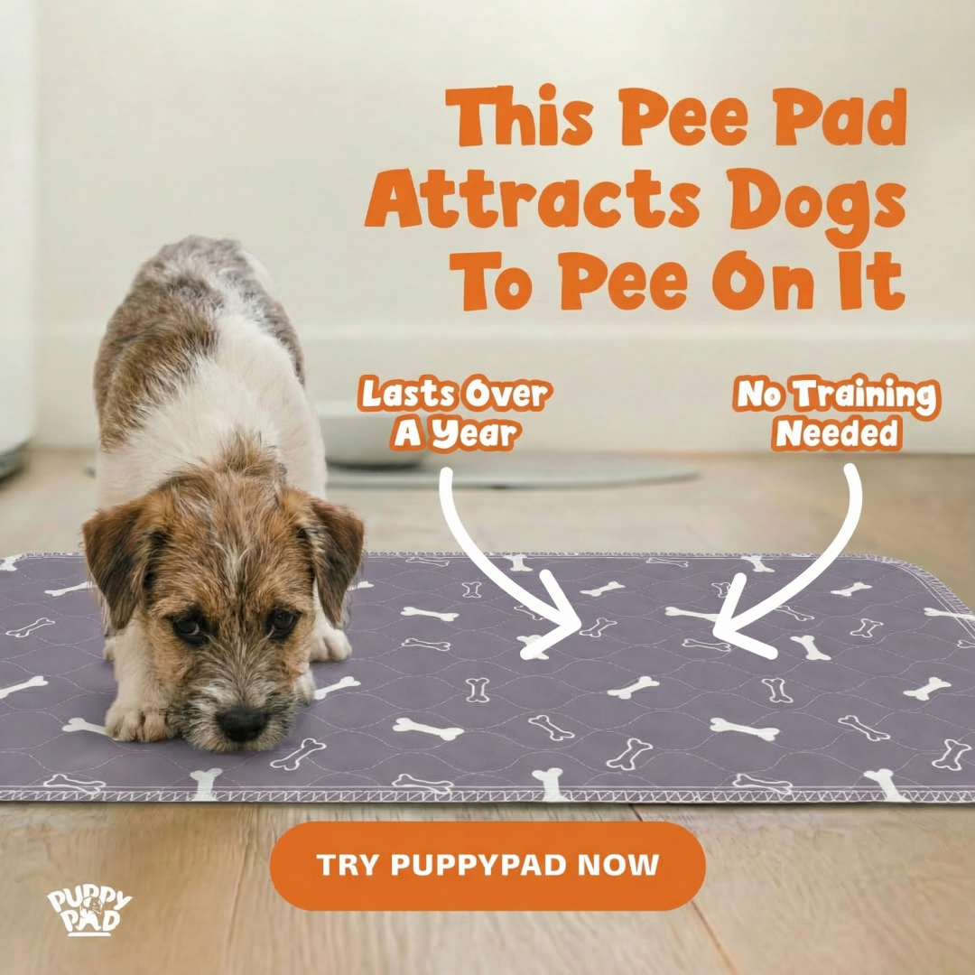 PuppyPad Facebook ad