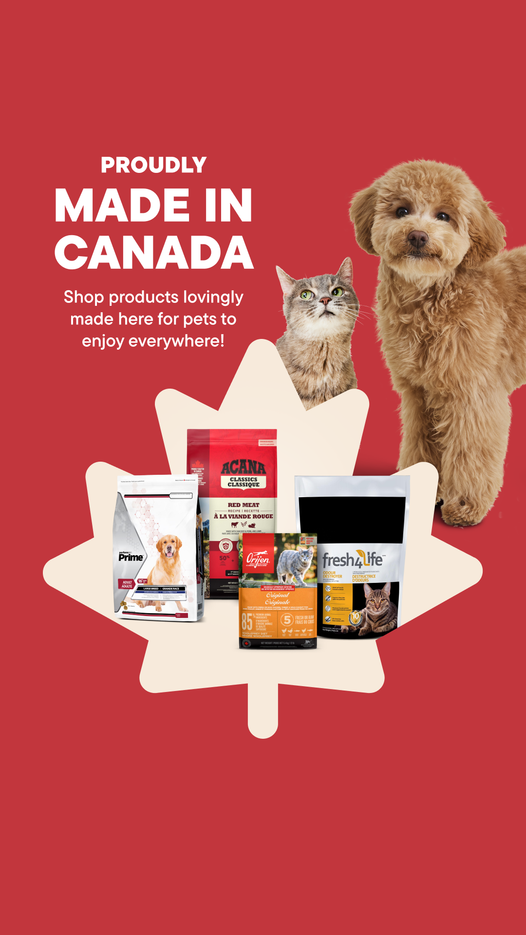 Bosley's by Pet Valu Facebook ad