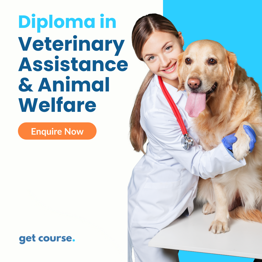 Get Course Co Facebook ad