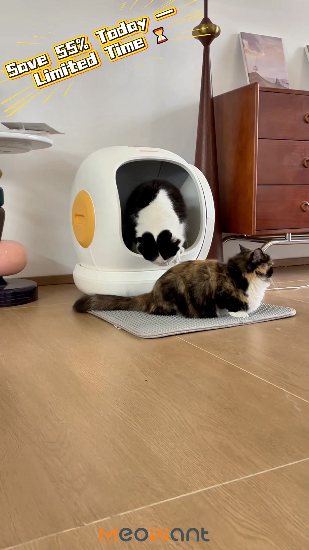 Meowant Facebook ad: Meowant Prime Day Is Here!