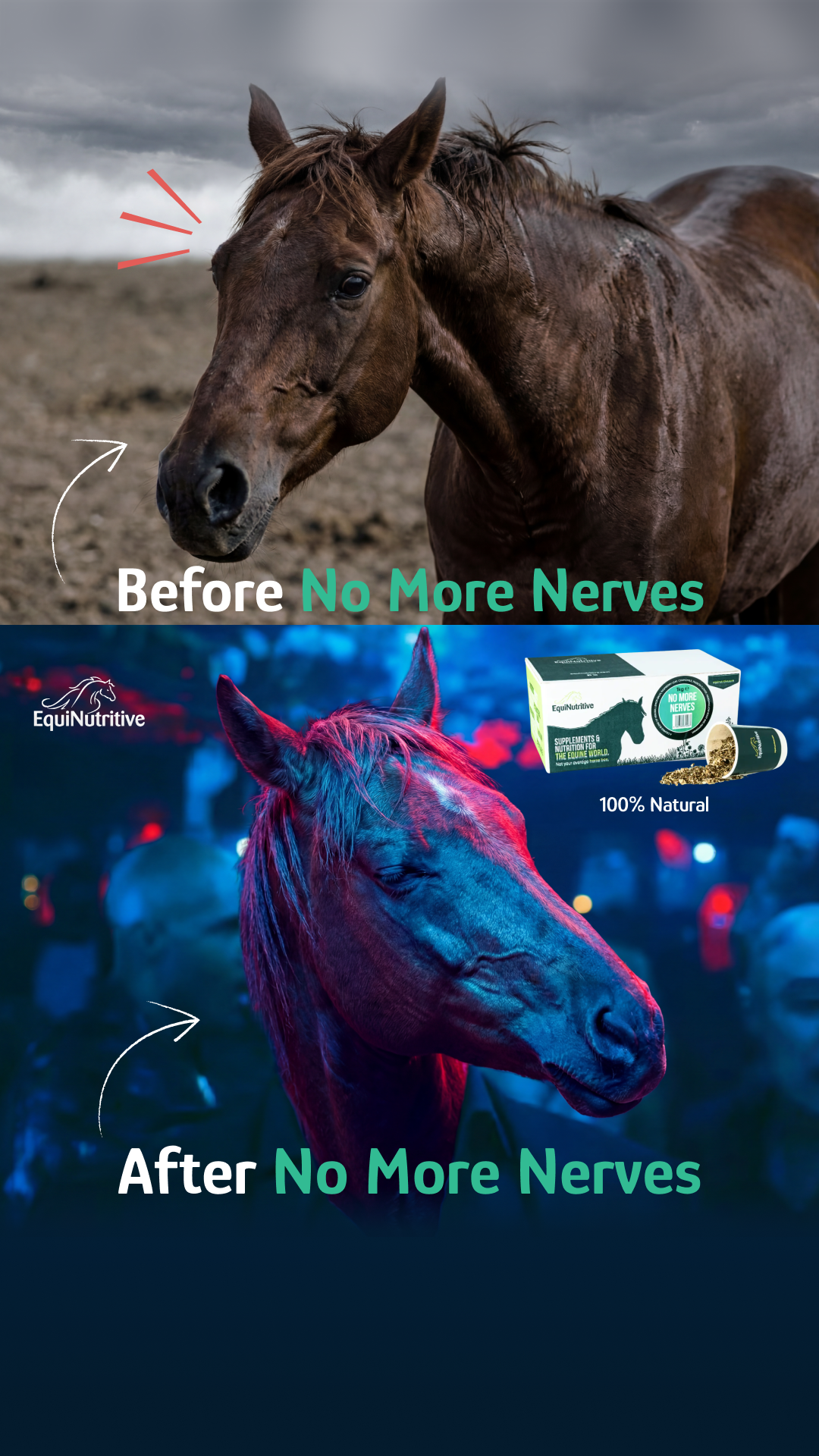 EquiNutritive Facebook ad