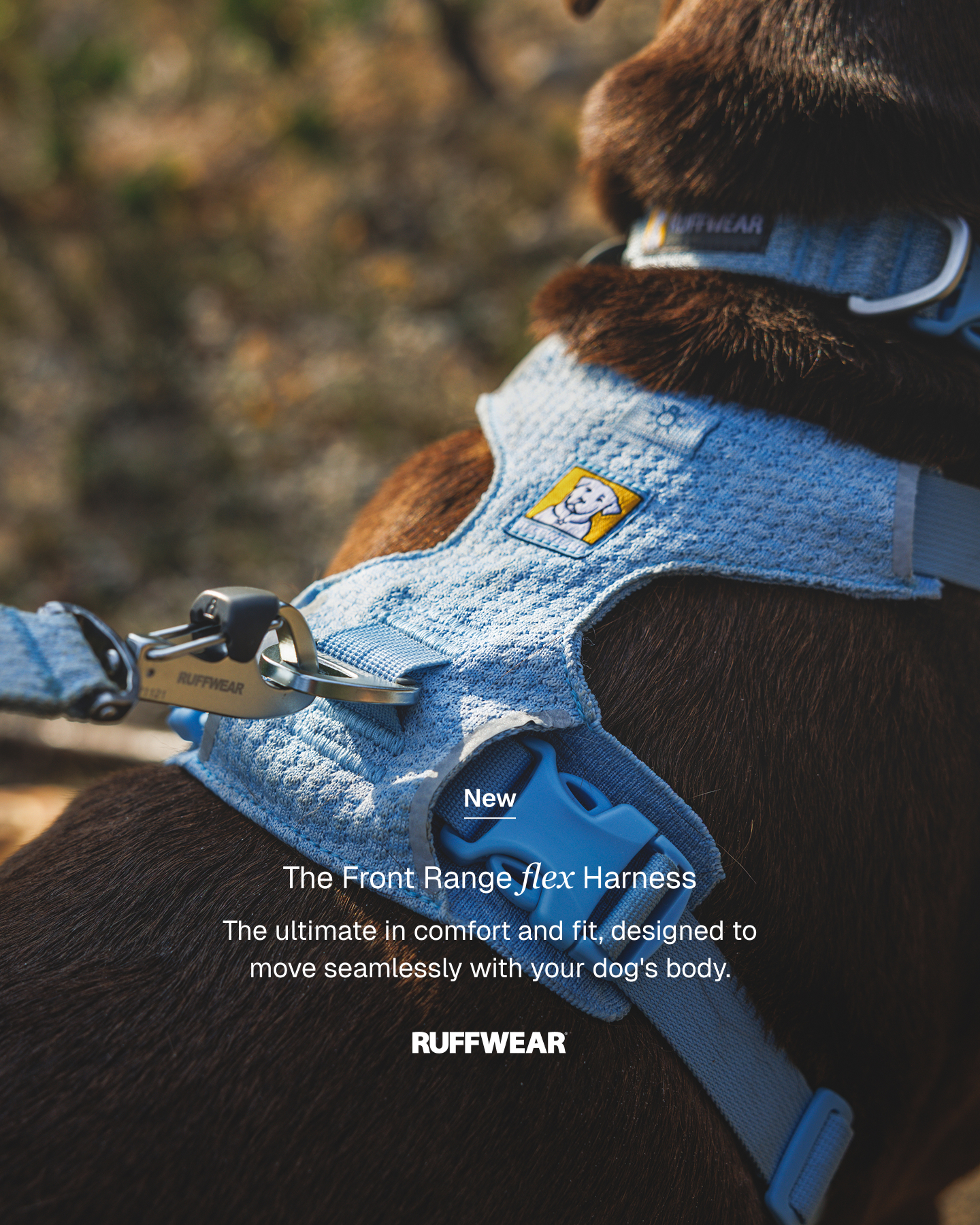 Ruffwear Facebook ad