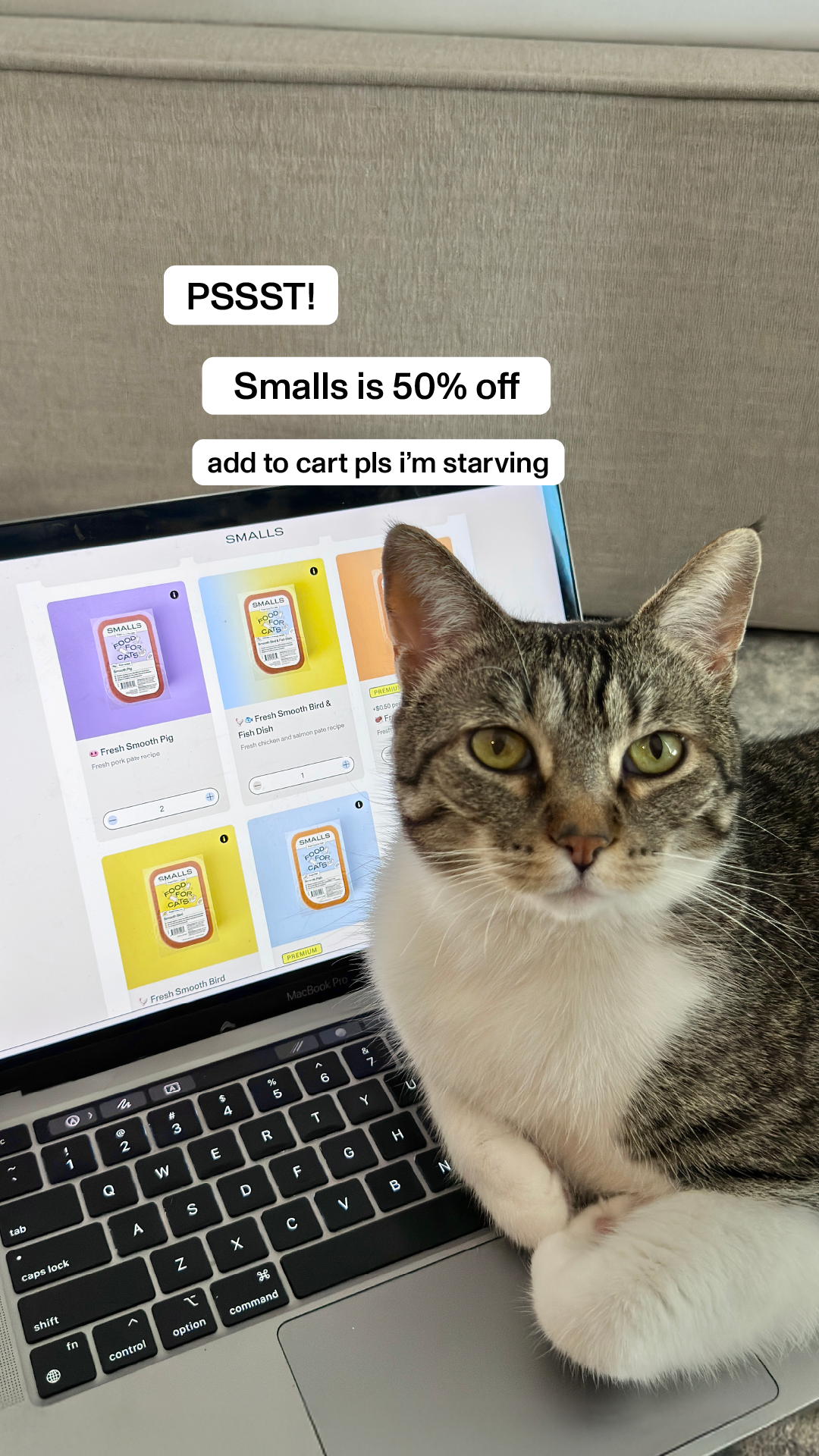 Smalls Facebook ad