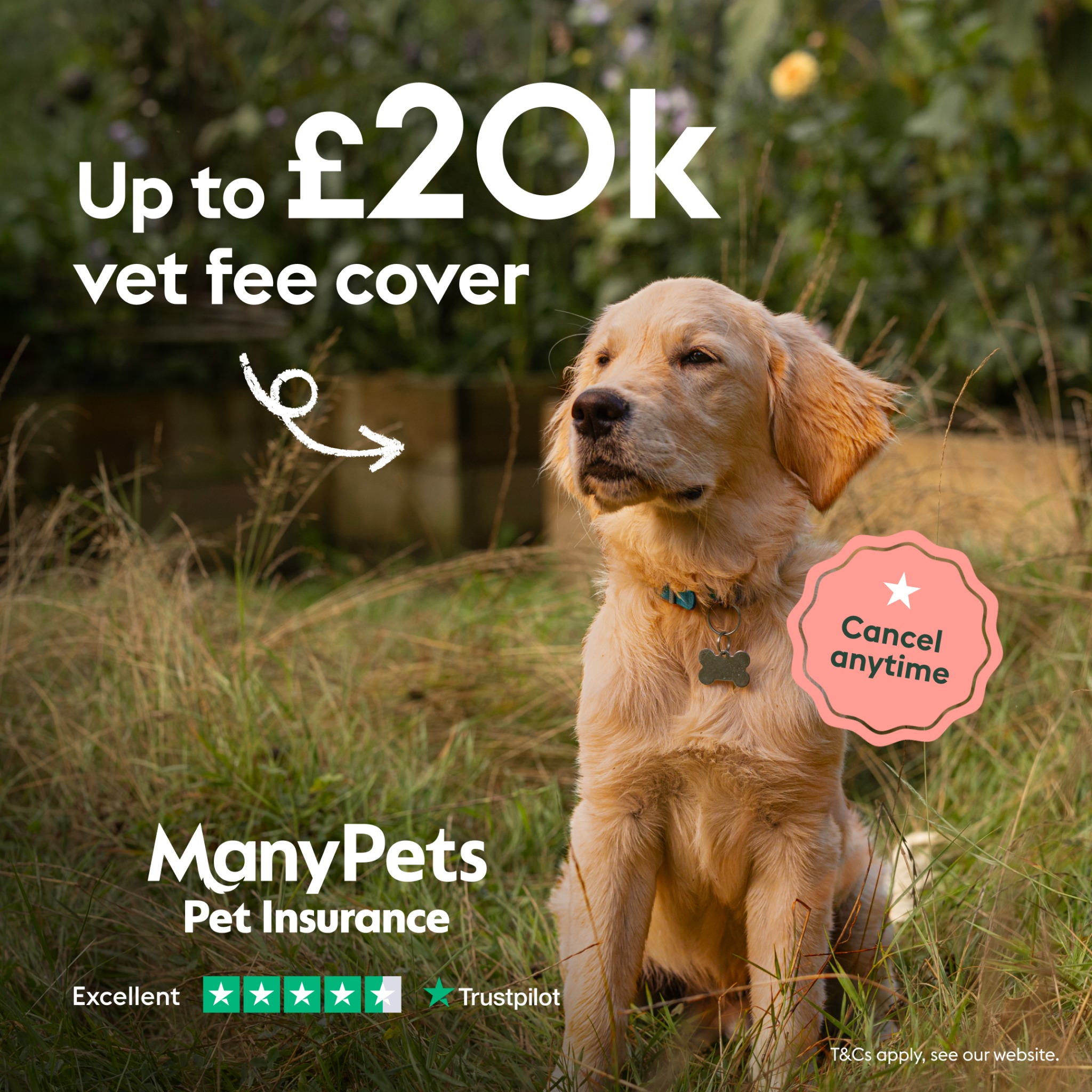 ManyPets UK Facebook ad