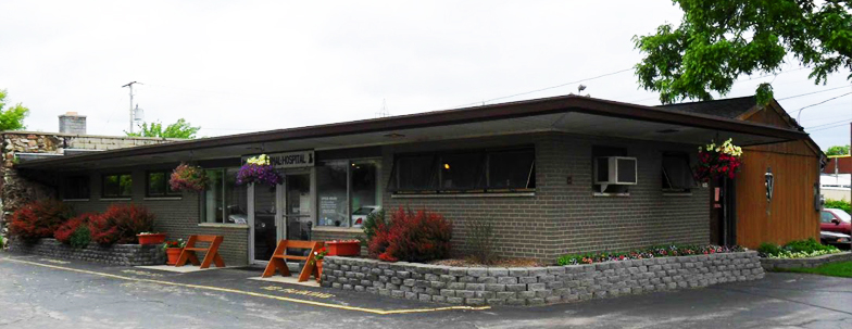 Layton Animal Hospital Facebook ad: Animal Hospital, Veterinarian Milwaukee, WI | Layton…