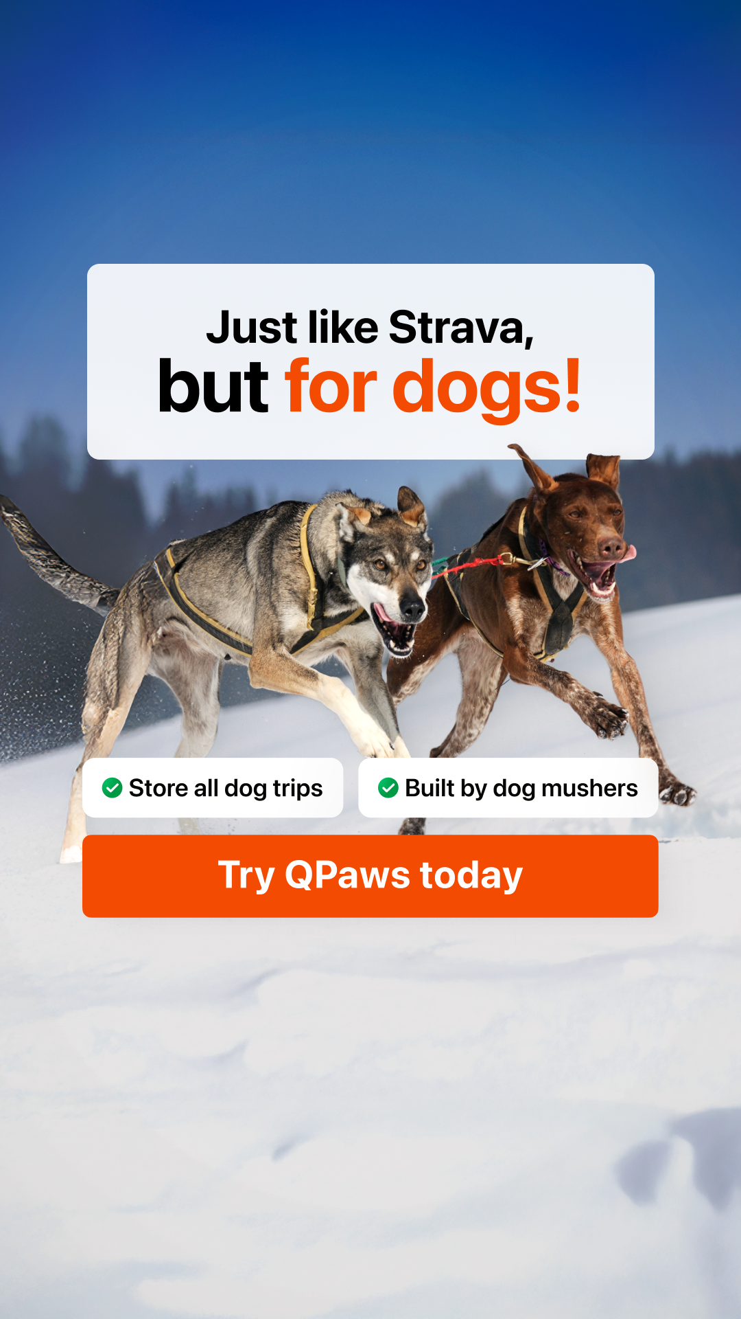 QPAWS Facebook ad