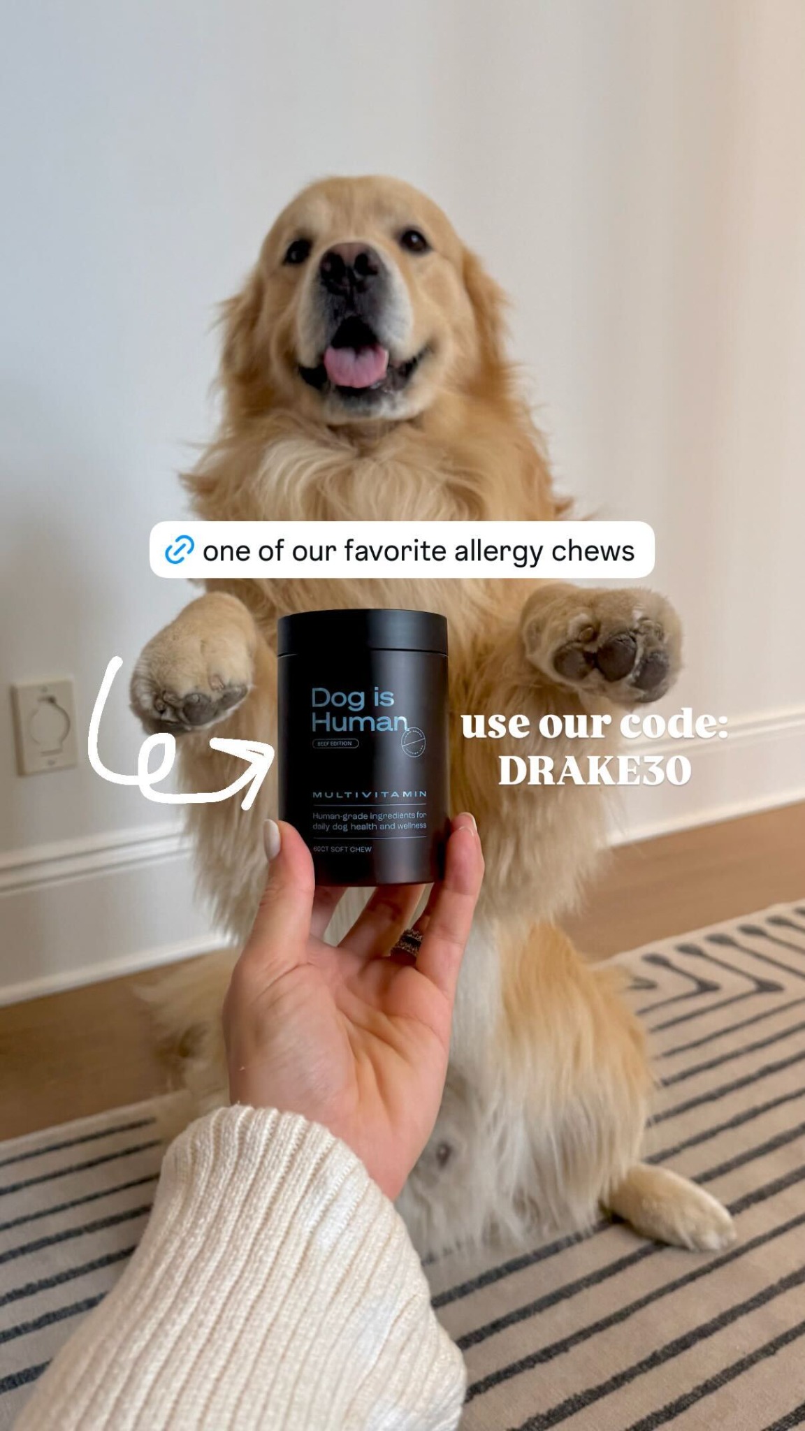 Dog is Human Facebook ad