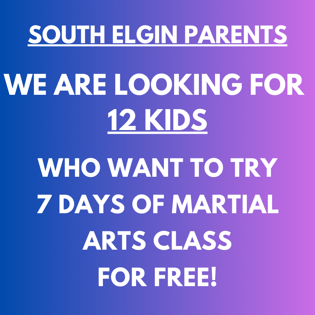 Premier Martial Arts Facebook ad