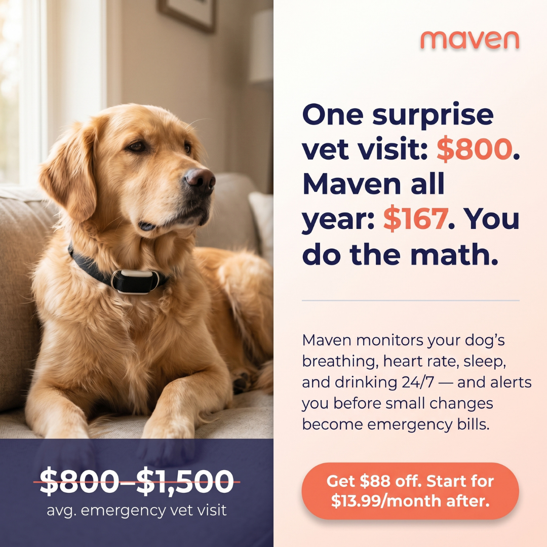 Maven Pet Facebook ad