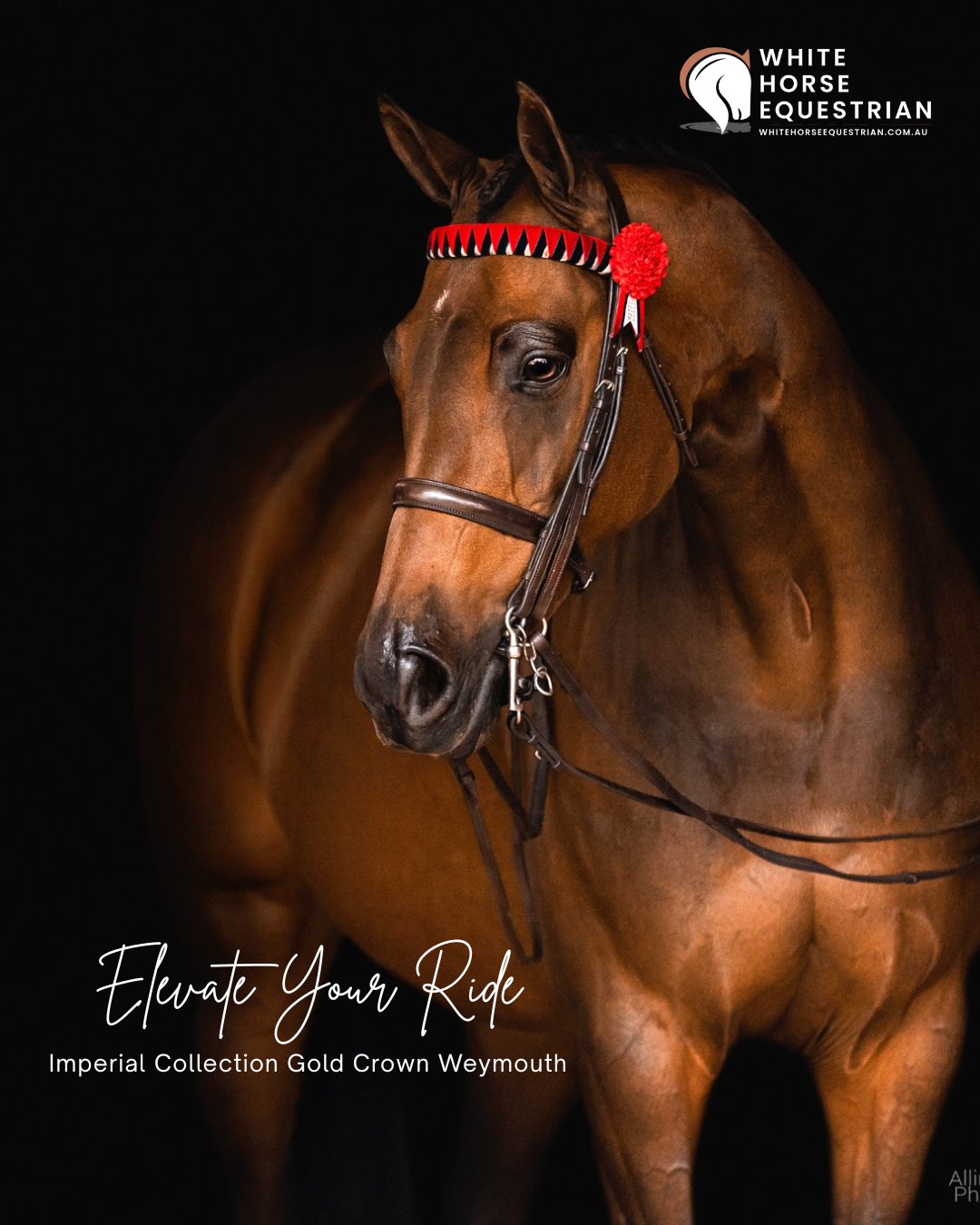 White Horse Equestrian - Aust Facebook ad