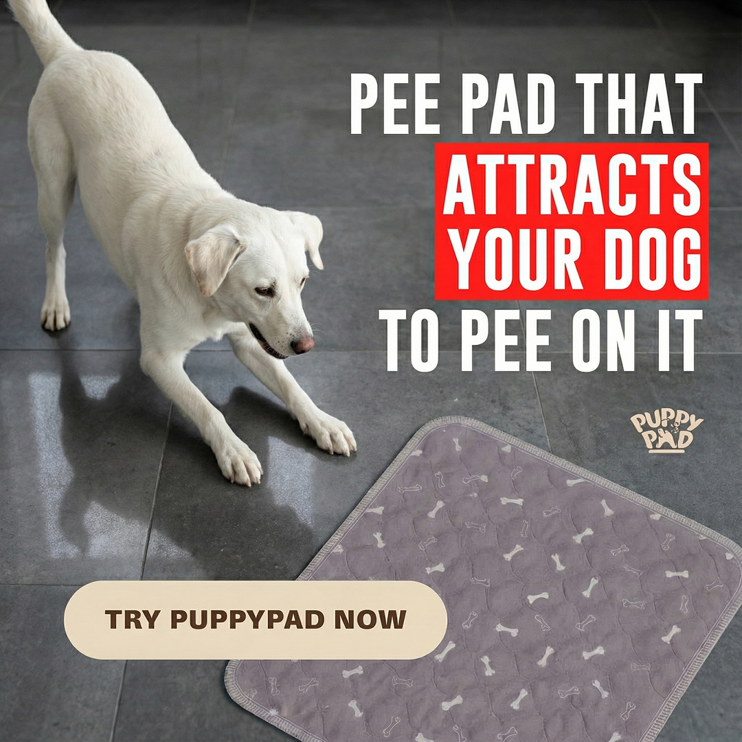 PuppyPad Facebook ad