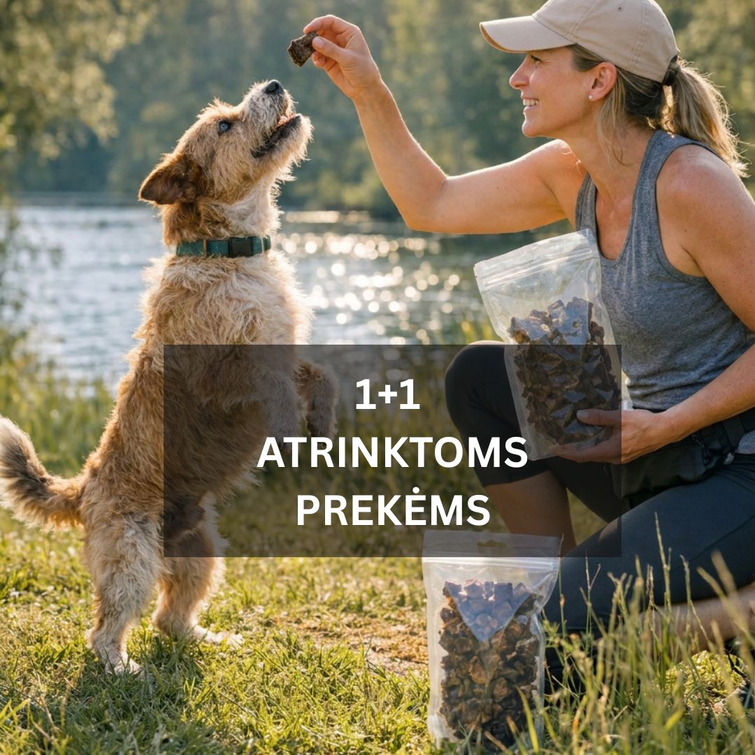 Sweet Pet Facebook ad: liko tik kelios rūšys griaužalų