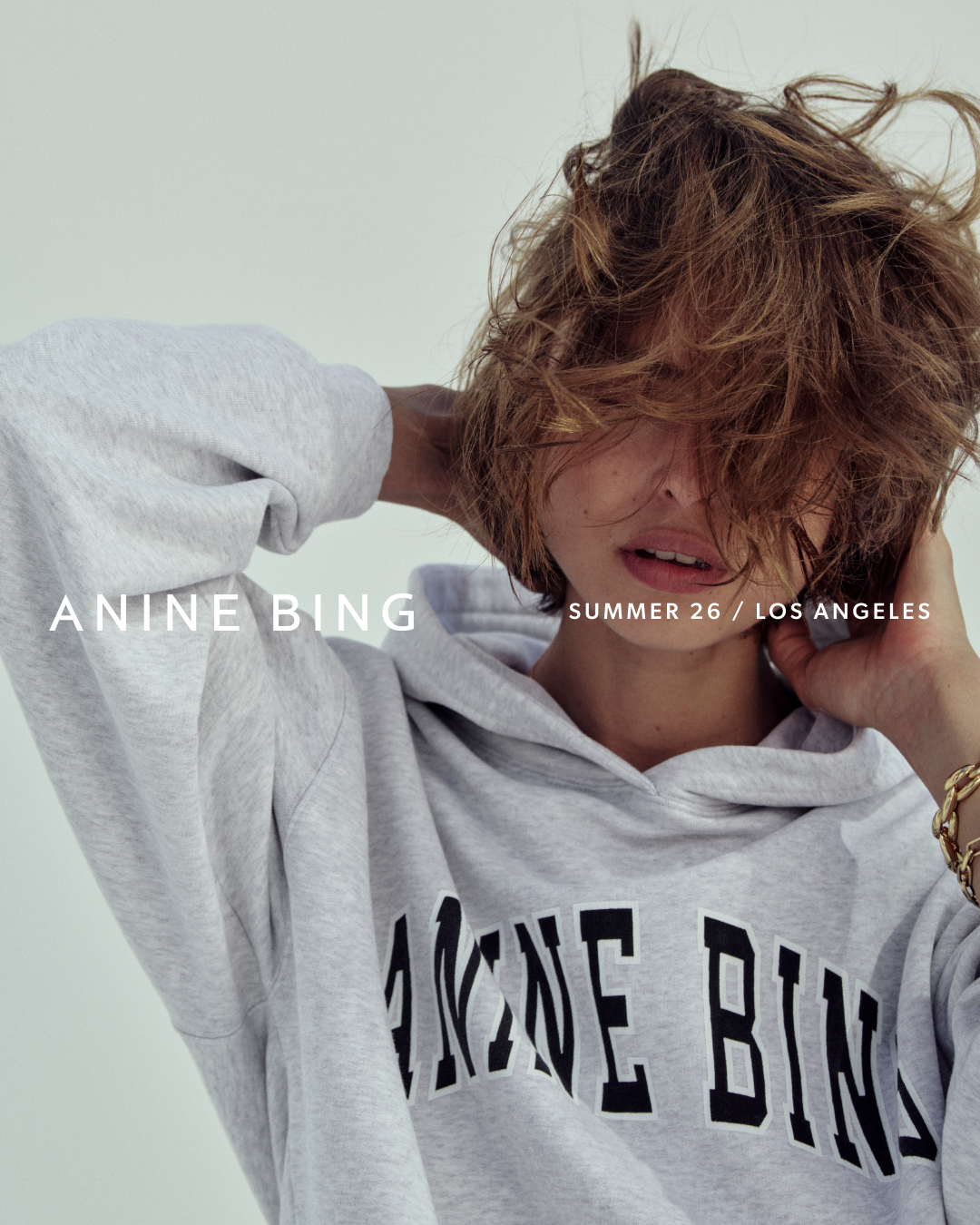 ANINE BING Facebook ad