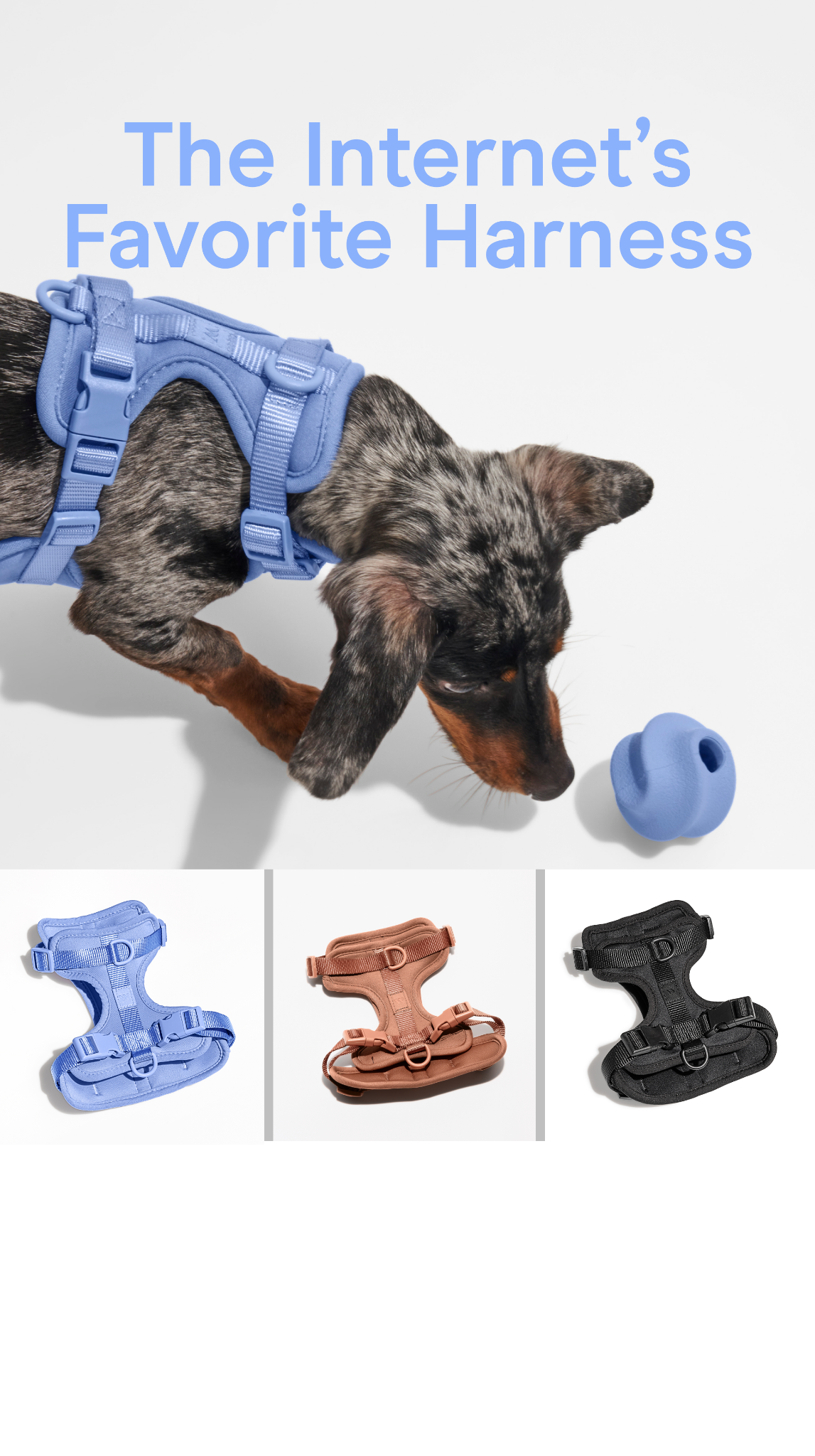Wild One Facebook ad