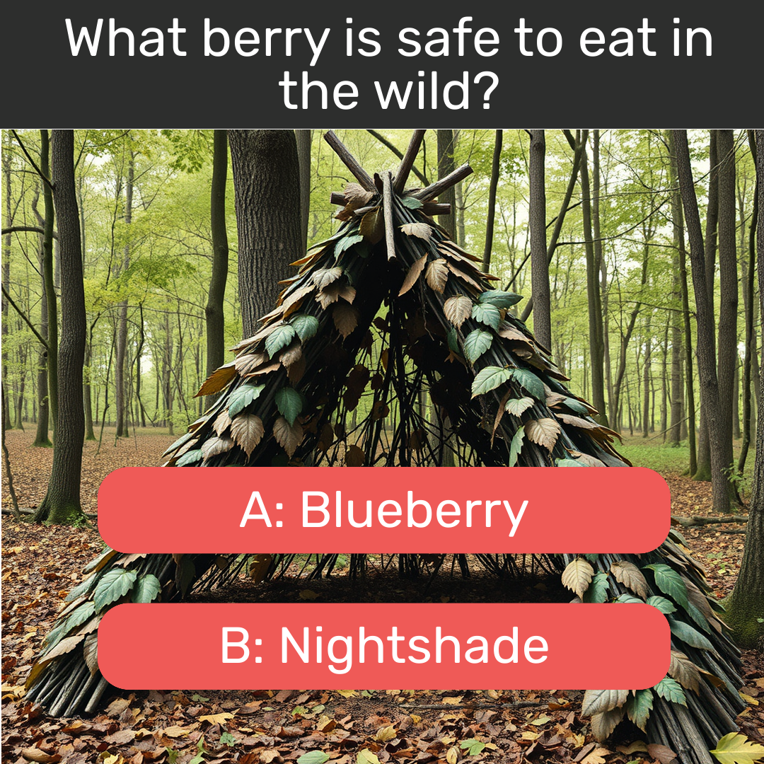 QuizGriz Facebook ad