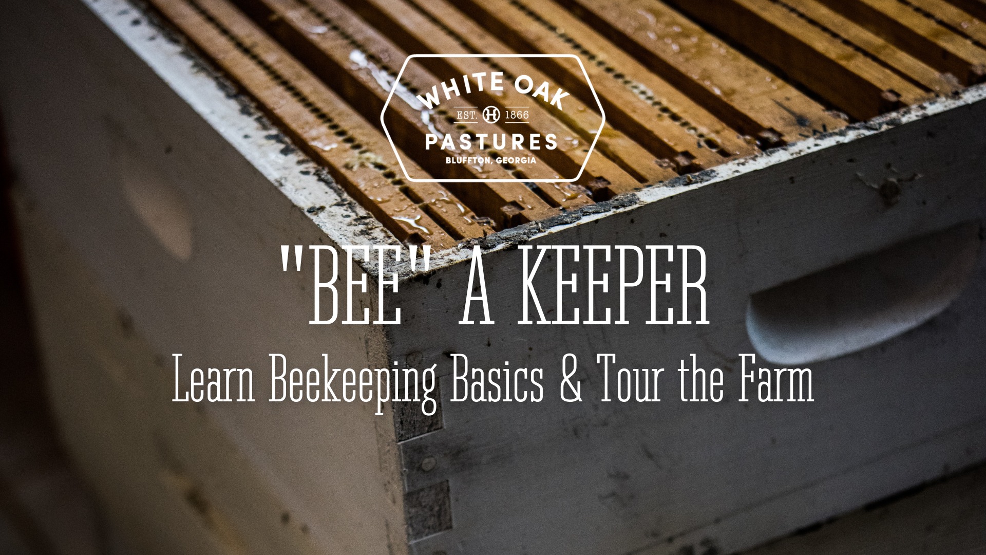 White Oak Pastures Facebook ad