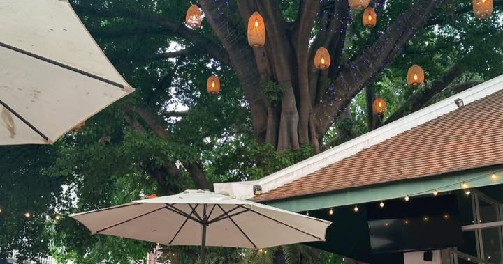 Westwood cafe and restaurant Facebook ad