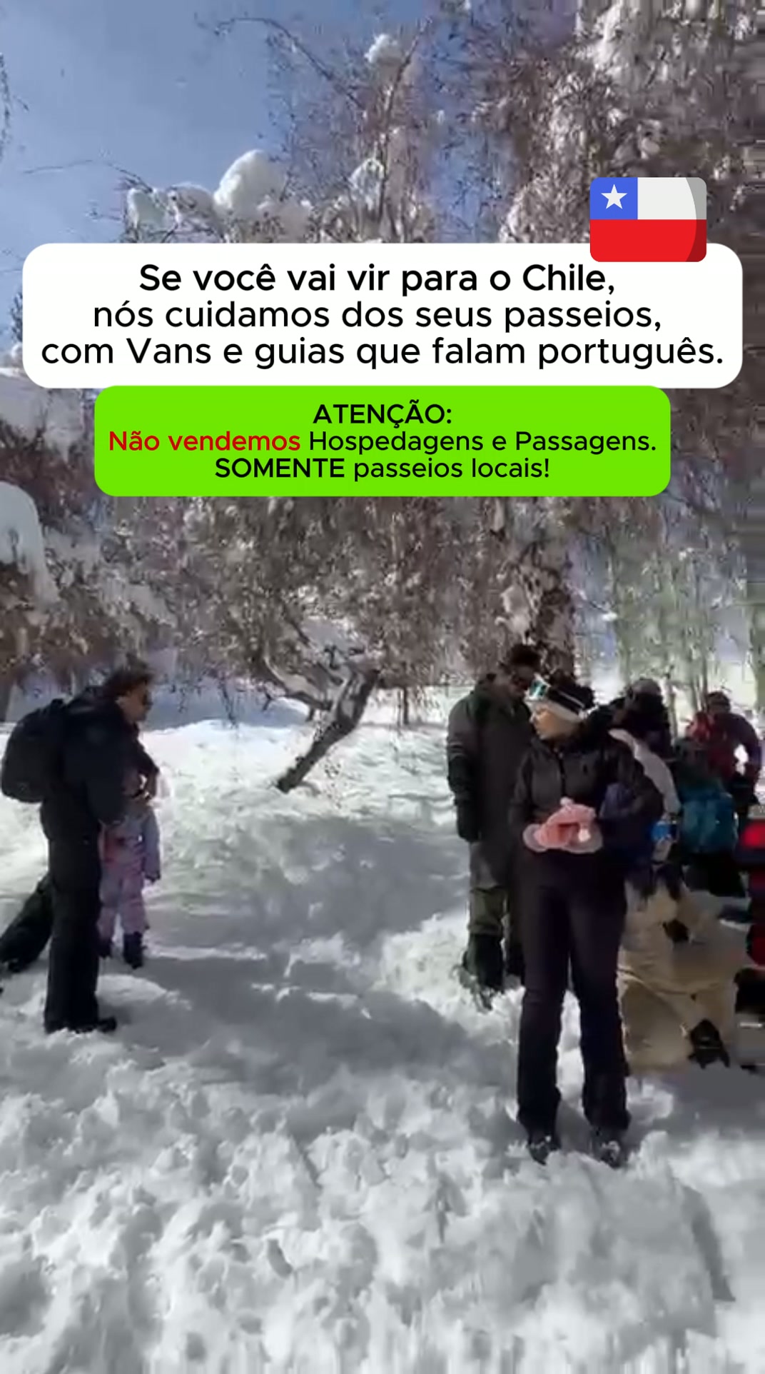 Bralex Chile Facebook ad: Agende seus Passeios no Chile