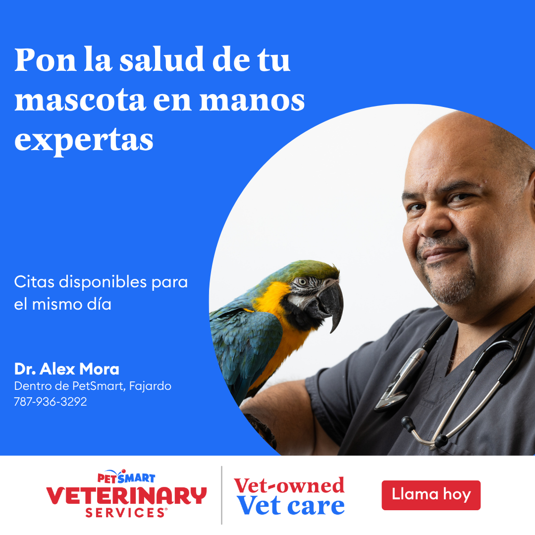 PetSmart Puerto Rico Facebook ad
