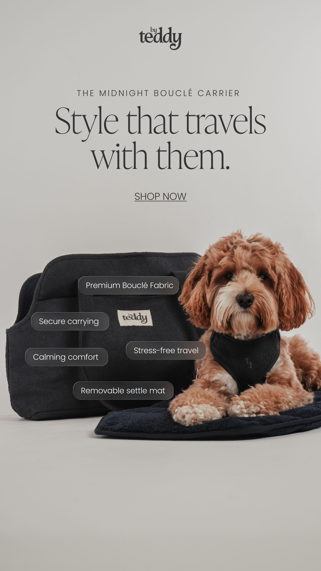 By Teddy Facebook ad