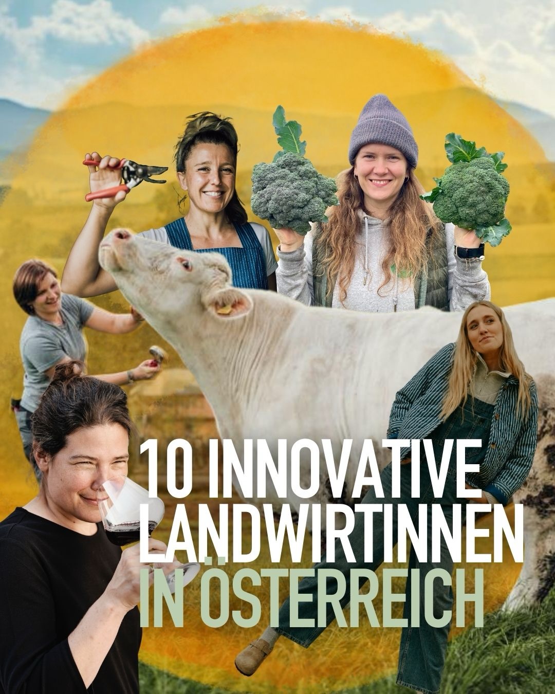 Gaumen Hoch Facebook ad: Welche innovativen Landwirtinnen kennst du noch?