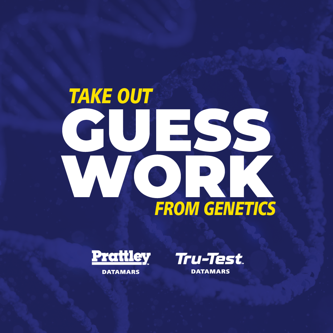 Datamars Livestock AU Facebook ad: Prove your genetics